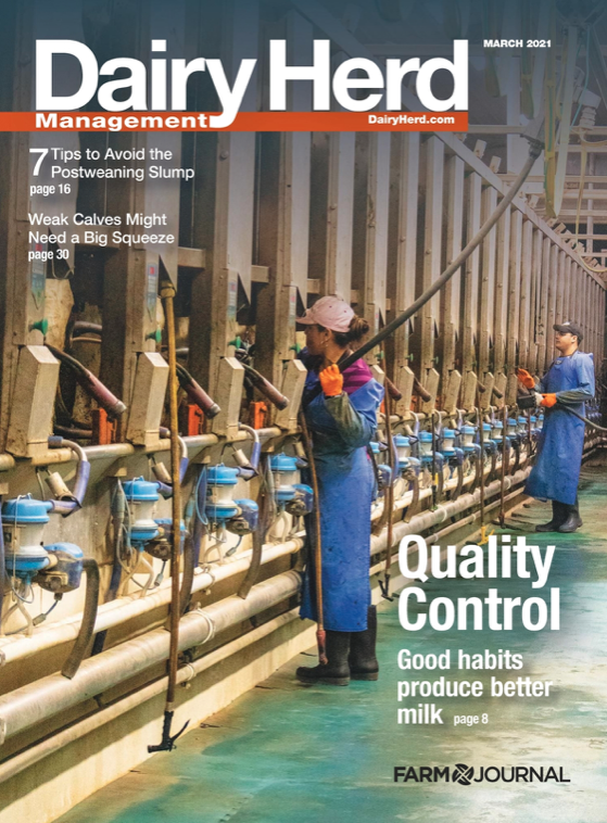 Issue Archive Dairy Herd